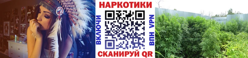 Канабис Балабаново
