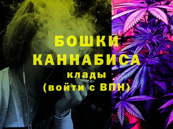 гашик Арсеньев