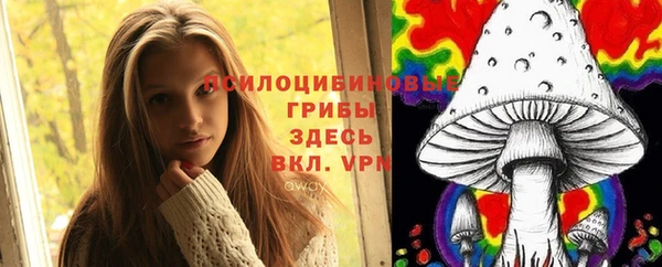 гашик Арсеньев