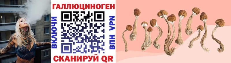 Псилоцибиновые грибы Magic Shrooms  наркотики  Балабаново 